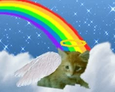 a cat flying through the air with a rainbow in the sky behind it and an angel on its back