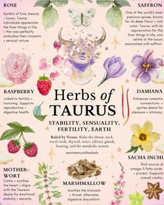 #witch #witchcraft #witchythings #witchyvibes #witchcraftforbeginners #spiritual #spirituality #spirit #spiritualawakening #spiritualgrowth #wicca #aesthetic #magic #rituales #snake #elements #water #fire #air #earthy #love #tarot #tarotreading #meditation #healing #herbs #aura #taurus Medical Herbs, Protect Your Energy, Witch Spirituality, Magic Herbs, Magical Herbs, Natural Healing Remedies, Energy Healing Spirituality, Herbal Healing, Herbal Magic