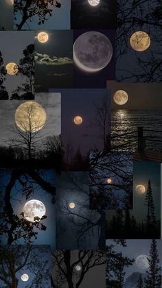 many different images of the moon and trees