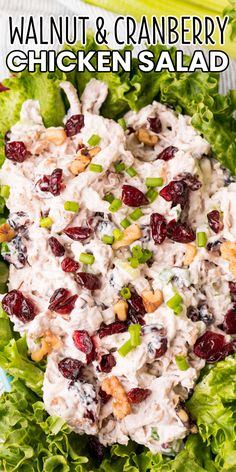 chicken salad with cranberries and walnuts in a white bowl on top of lettuce