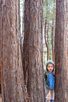 Toddler girl in redwood forest looking through the trees Oscar Photoshoot, Family Forest Photoshoot, Forest Family Photoshoot, Rainbow Bagel, Hiking Family, Photography Hiking, Hiking Photos, Toddler Photoshoot, Photo Portraits