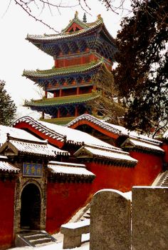 Chan Buddhism, Traditional Architect, Shaolin Temple, Shaolin Monks, Ancient Chinese Architecture, Asian Architecture, Forbidden City, Cultural Architecture, Chongqing