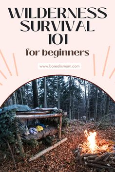 the wilderness survival 101 for beginners with text overlay that reads wilderness survival 101 for beginners