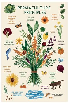 an illustrated poster with flowers and plants in the language permaculture pringles