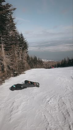 a pair of snowboards laying on the ground in the snow near some pine trees