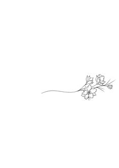 a line drawing of flowers on a white background