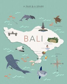 an illustrated map of bali with animals, birds and other things on it's surface