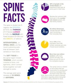 Chiropractic Marketing, Benefits Of Chiropractic Care, Cervical Pain, Nerve Health, Homeopathy Medicine, Spine Health, Family Doctors