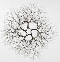 a circular object made out of branches on a white background with no people around it