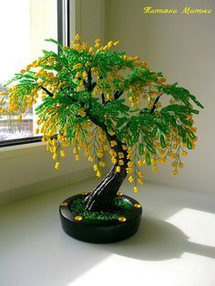 a bonsai tree with yellow flowers in a black pot on a window sill