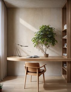 a room with a table, chair and bookcase in it that has a potted plant on the desk