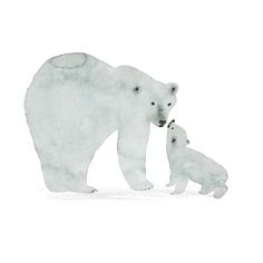 a polar bear and her cub are standing in the snow