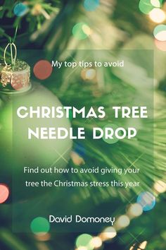 a christmas tree with the words, my top tips to avoid christmas tree needle drop