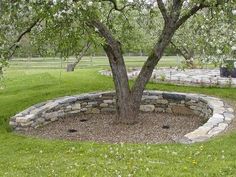 an apple tree in the middle of a stone circle