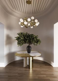 a round table with a potted plant on it in front of a circular wall