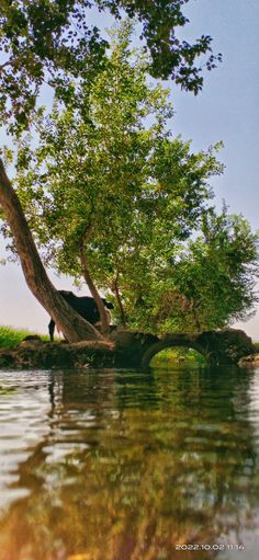 #Village#nature#asthetics Village River, River Aesthetic, Old Village, Water, Quick Saves