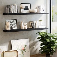 two black shelves with books and vases on them next to a potted plant