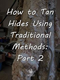 how to tan hides using traditional method part 2 - cover image for article on how to tan hides using traditional method part 2