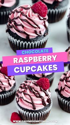 chocolate raspberry cupcakes with pink frosting and fresh raspberries on top