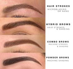 Vs Tattoo, Types Of Eyebrows, How To Grow Eyebrows