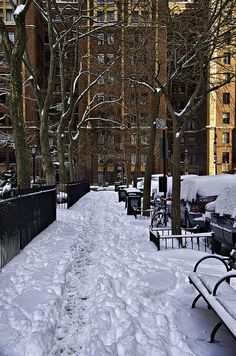 a snow covered sidewalk with benches and trees