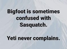 a quote about bigfoot is sometimes confused with sasquatch yet never complaints