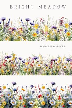 three different images of flowers and grass with the words bright meadow