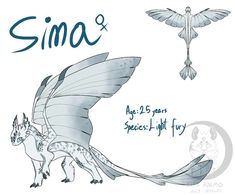 a drawing of a bird and a dragon with the word sima on it's back