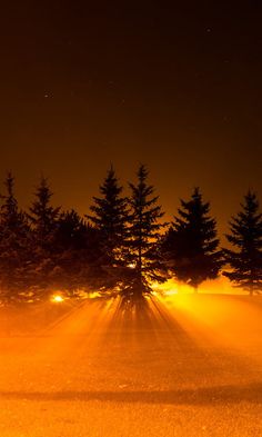 the sun is shining through the trees on a foggy night in the country side