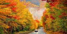 a car driving down a road surrounded by trees in the fall with colorful foliage on both sides