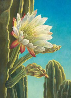 a painting of a cactus with flowers on it