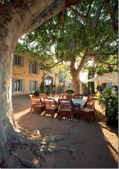 a table and chairs under a large tree