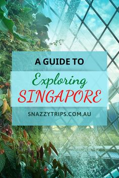 a guide to exploring singapore with text overlay