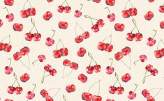 watercolor painting of cherries on white background