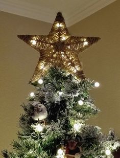 a small christmas tree with lights on it and a teddy bear under the star decoration