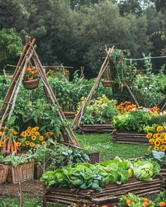 a garden with lots of vegetables and plants growing in it's raised beds on the grass