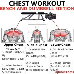 the chest workout bench and dumbbell edition is shown with instructions for how to use it