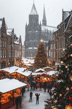 people are walking around in the snow near christmas trees