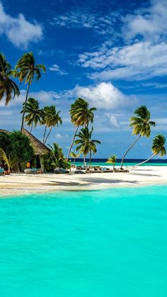 an island with palm trees on the beach