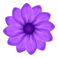 a purple flower on a white background