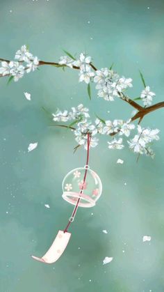 an umbrella hanging from a tree branch with white flowers