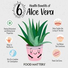 the 6 health benefits of aloe vera for hair and skin info poster with instructions on how to use aloe vera