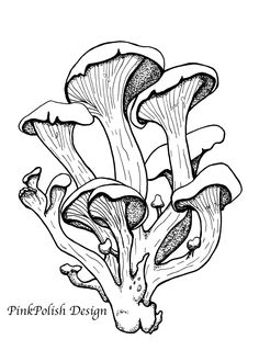 some very pretty mushrooms in the middle of black and white ink art printables