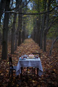 an empty table in the middle of a leaf covered forest