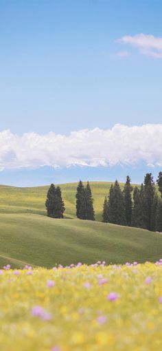 an open field with trees and flowers in the foreground