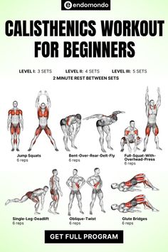 an illustrated guide to the muscles for beginners, with instructions on how to do it