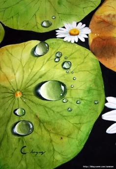 some water lilies and leaves with drops of water on them are shown in this painting