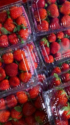 several plastic containers filled with strawberries on display