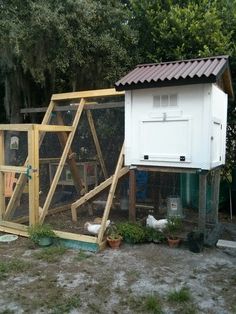 a chicken coop in the middle of a yard with chickens and other things around it