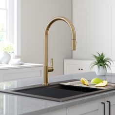 a kitchen sink that has some fruit on the counter and a potted plant next to it